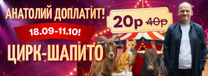 Цирк 13 метров