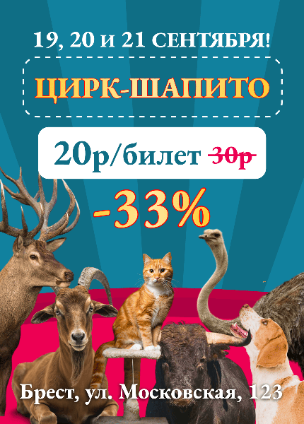 Цирк