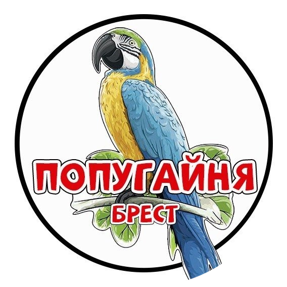Посещение попугайни от 13р в Бресте